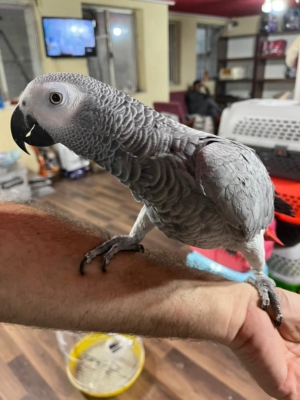 خدمات شماره3