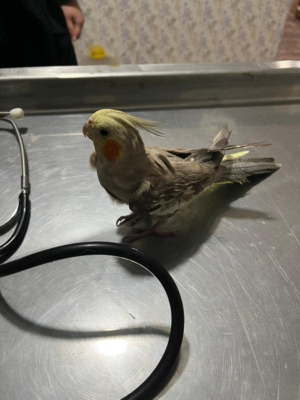 مطلب نمونه شماره3