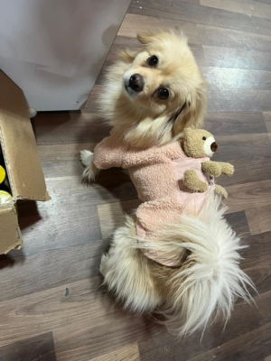 نمونه شماره2