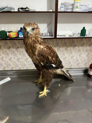 نمونه شماره1