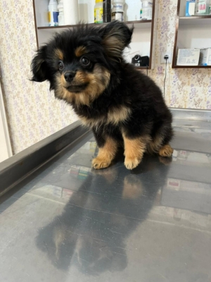 نمونه شماره3