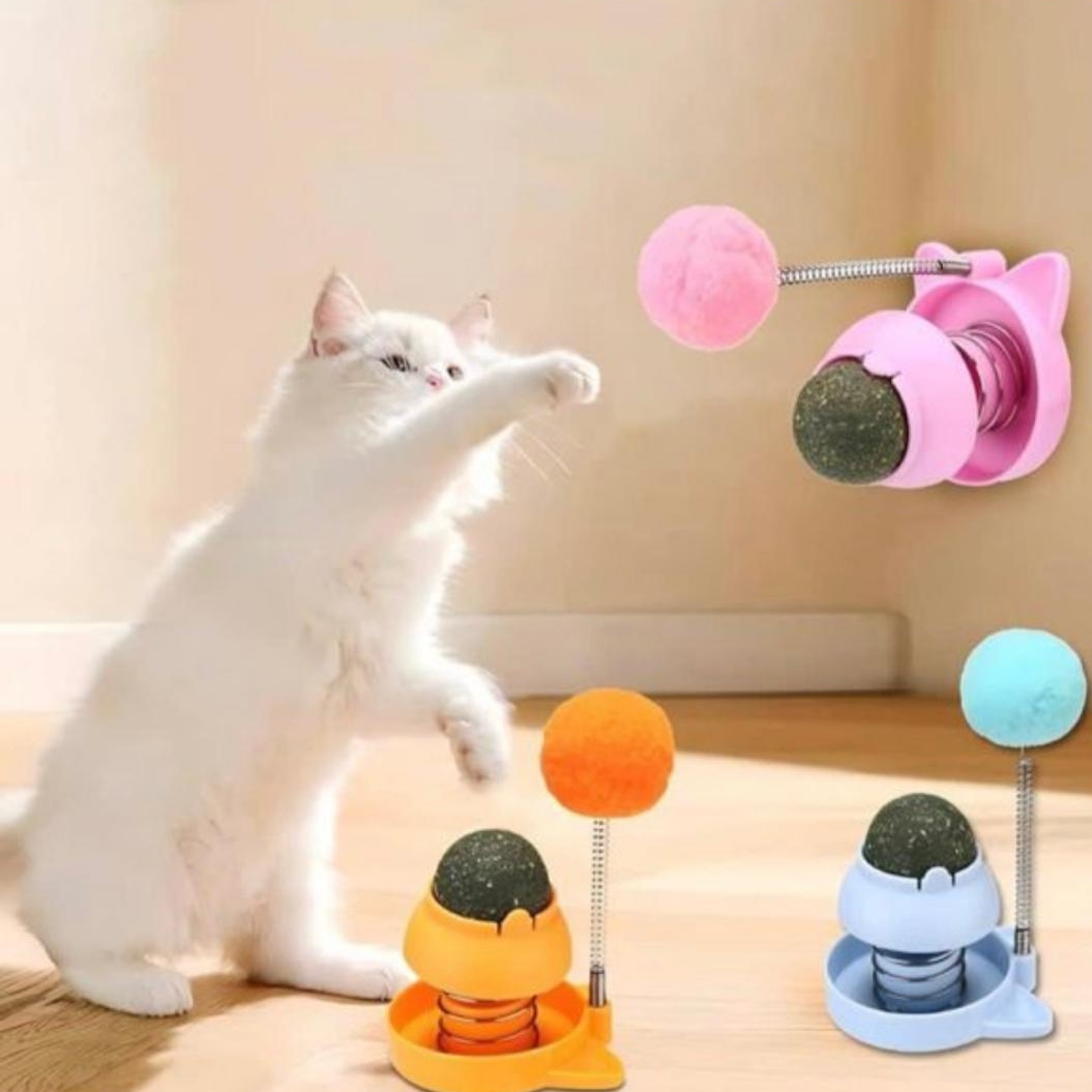 کلینیک دامپزشکی هپی پت در اردبیل